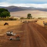 chema-photo-cR1FRFYWgwE-unsplash